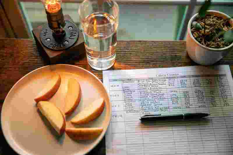 Holztisch mit Apfelstücken auf einem Teller, Wasserglas, Pflanzentopf und Kalorienplaner- Ratgeber Studium zum Ernährungsberater: Campus M University.