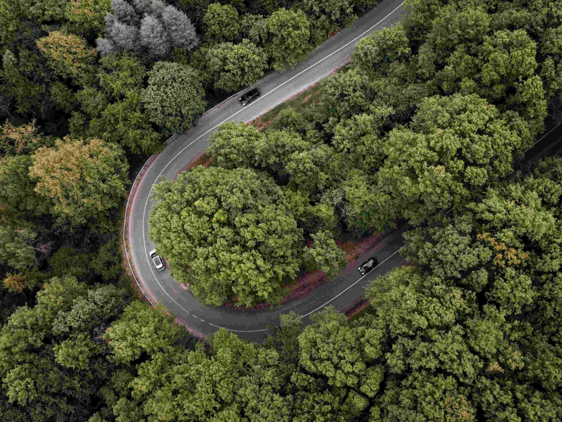 Luftaufnahme von grünen Bäumen und Straße während des Tages – Nachhaltigkeit in der Automobilbranche.